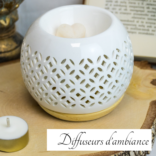 diffuseur L'Atelier Ginko - Boutique en Ligne