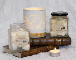 Fondants-Parfumés L'Atelier Ginko - Boutique en Ligne