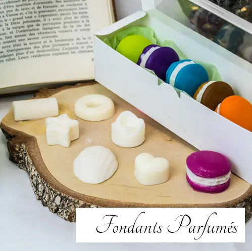 Fondants-Parfumés L'Atelier Ginko - Boutique en Ligne