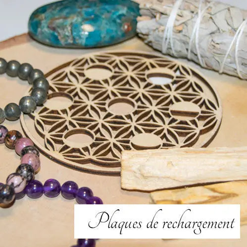 Plaque-de-chargement L'Atelier Ginko - Boutique en Ligne