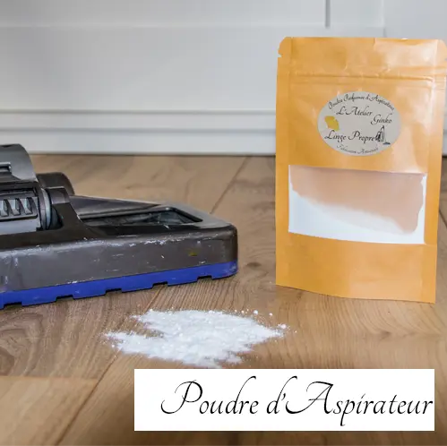 Poudre-d-aspirateur L'Atelier Ginko - Boutique en Ligne