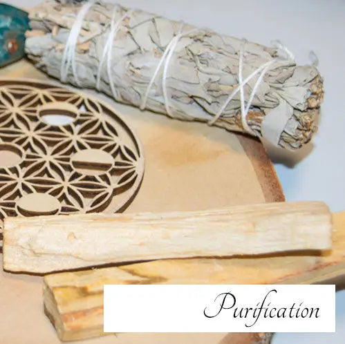 Purification L'Atelier Ginko - Boutique en Ligne