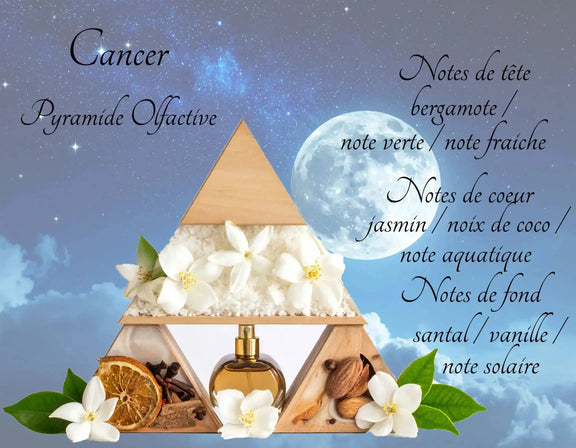Bougie Astrologique Cancer L'Atelier Ginko - Boutique en Ligne