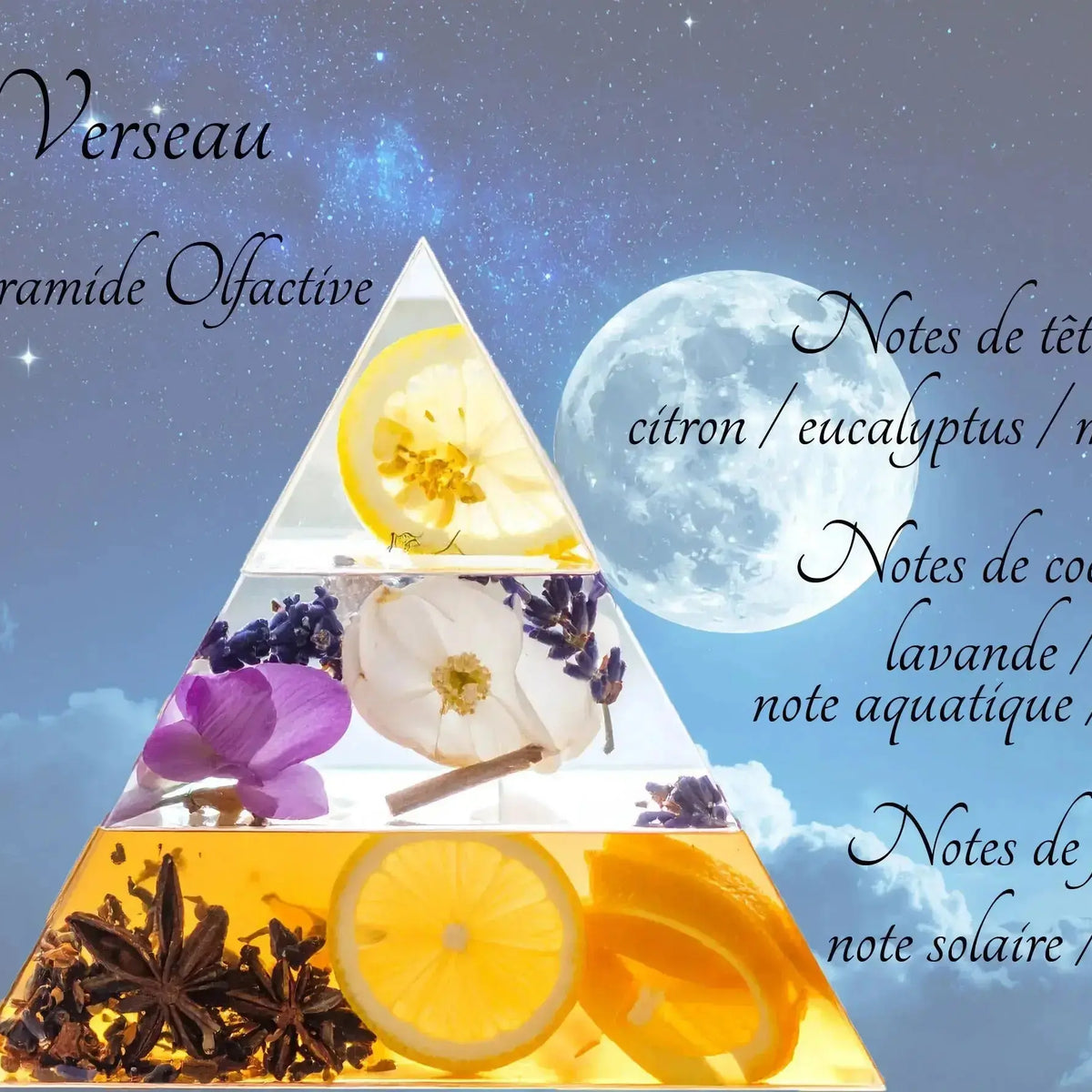 Bougie Astrologique Verseau - L'Atelier Ginko - Boutique en Ligne