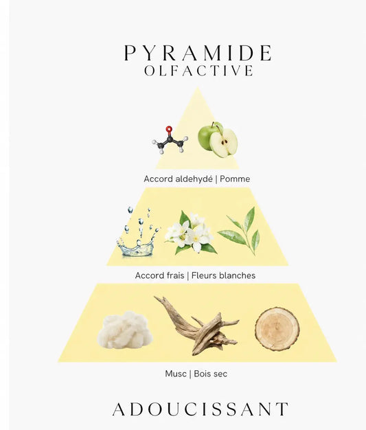 Bougie parfumée Adoucissant L'Atelier Ginko - Boutique en Ligne