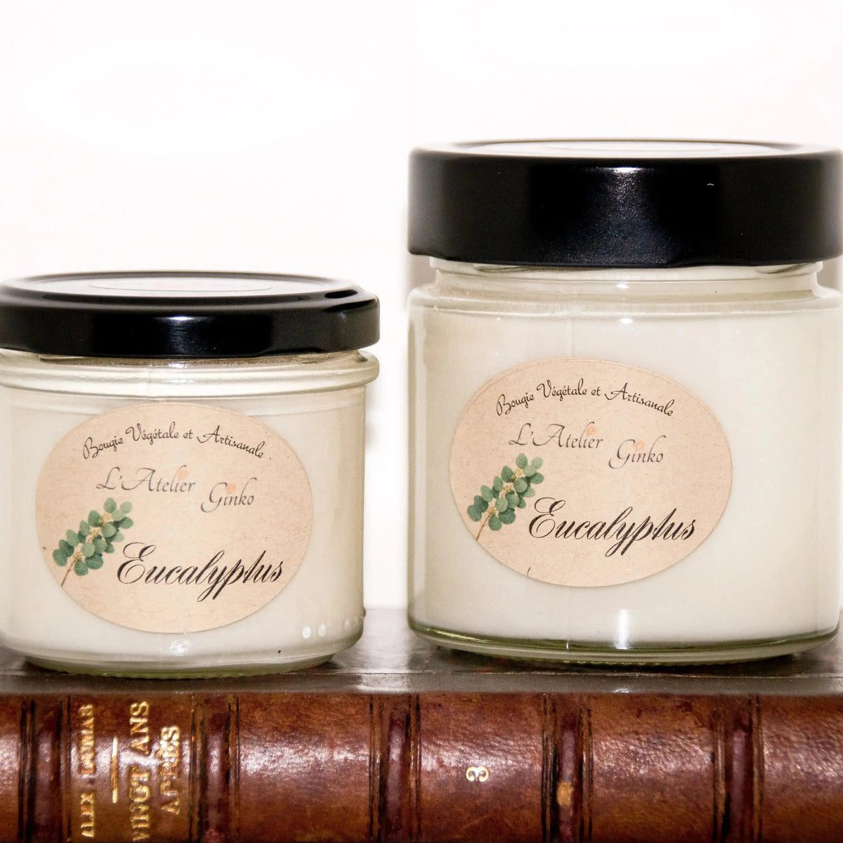 Bougie parfumée Eucalyptus L'Atelier Ginko - Boutique en Ligne