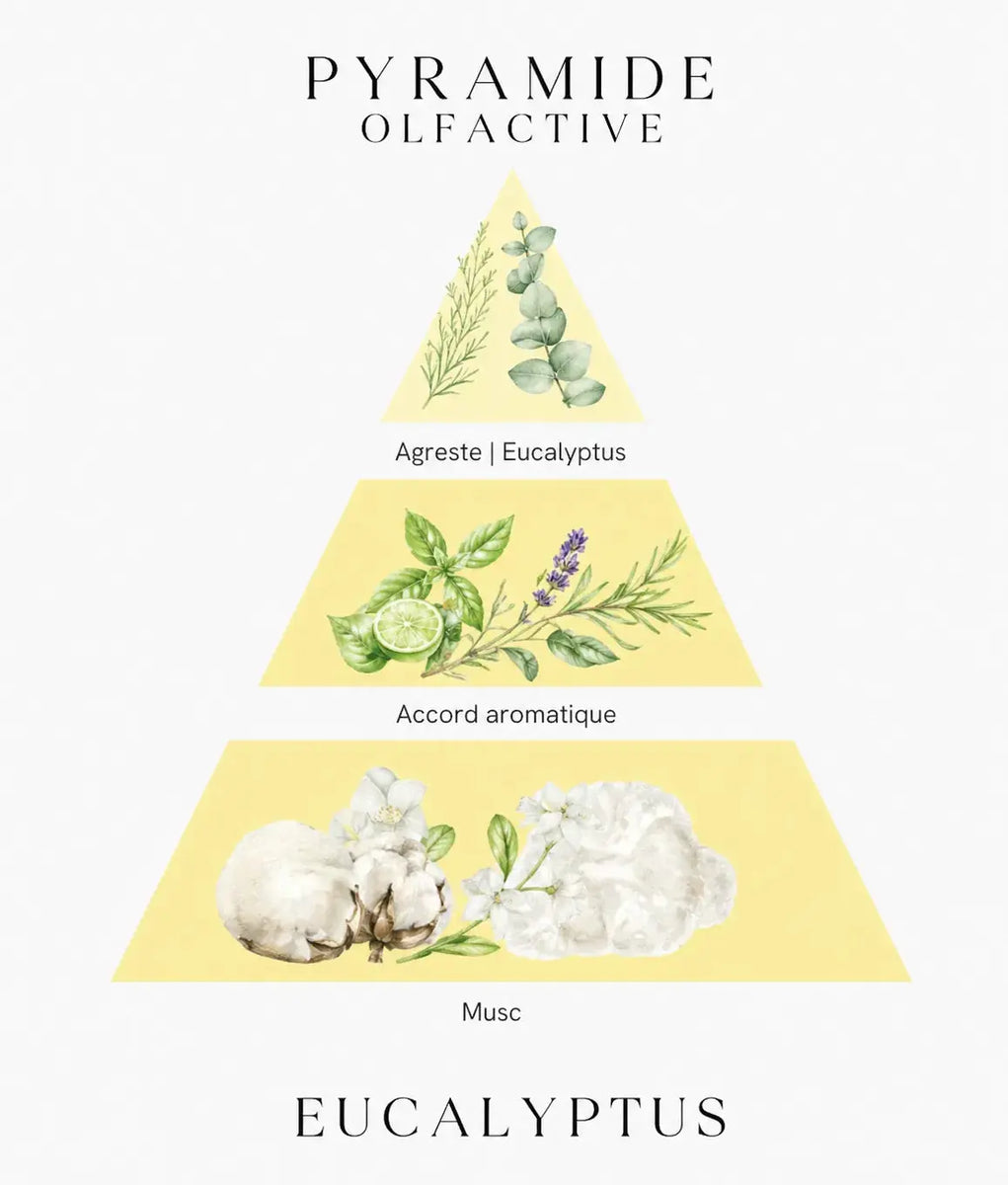 Bougie parfumée Eucalyptus L'Atelier Ginko - Boutique en Ligne