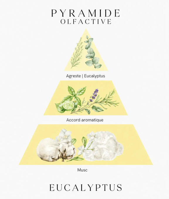 Bougie parfumée Eucalyptus L'Atelier Ginko - Boutique en Ligne