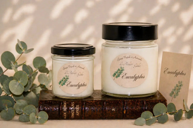 Bougie parfumée Eucalyptus L'Atelier Ginko - Boutique en Ligne