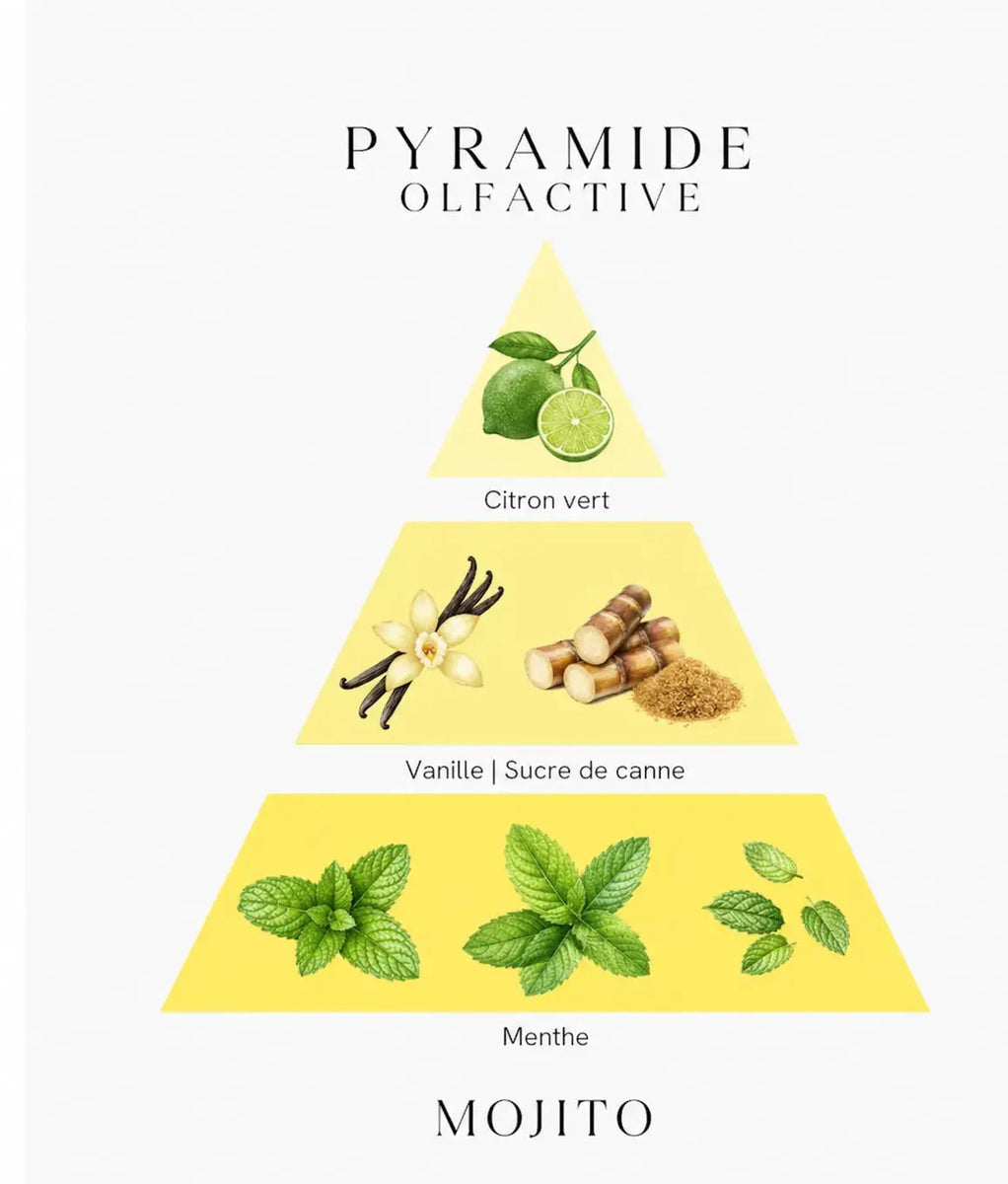 Bougie parfumée Mojito L'Atelier Ginko - Boutique en Ligne