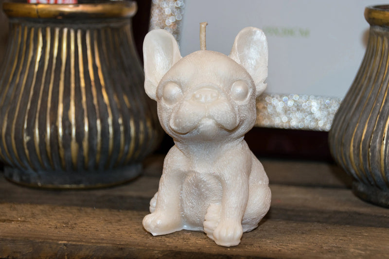 Bougie Chien L'Atelier Ginko - Boutique en Ligne