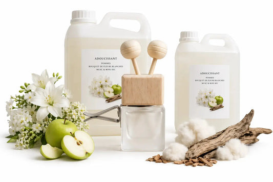 Diffuseur Voiture Adoucissant L'Atelier Ginko - Boutique en Ligne