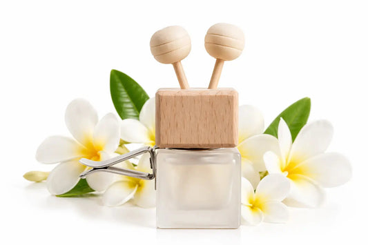 Diffuseur Voiture Monoi L'Atelier Ginko - Boutique en Ligne