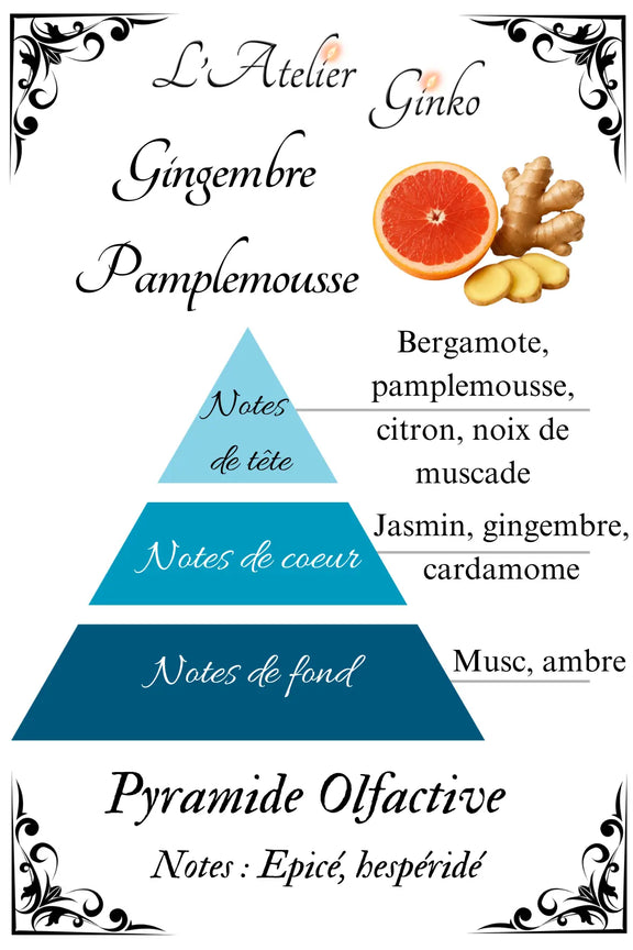Bougie parfumée Gingembre pamplemousse L'Atelier Ginko - Boutique en Ligne