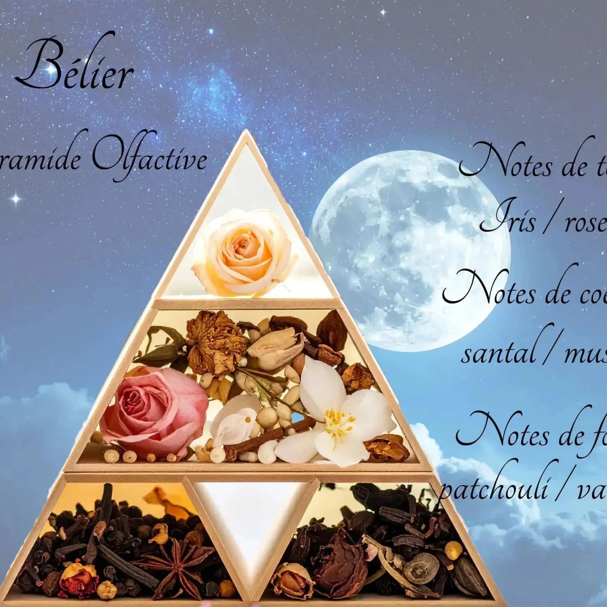 Bougie Astrologique Bélier - L'Atelier Ginko - Boutique en Ligne