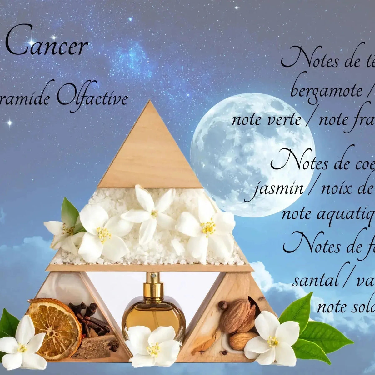 Bougie Astrologique Cancer - L'Atelier Ginko - Boutique en Ligne