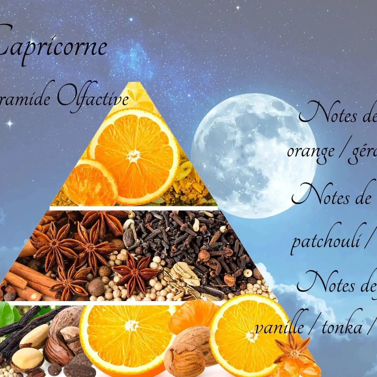 Bougie Astrologique Capricorne - L'Atelier Ginko - Boutique en Ligne