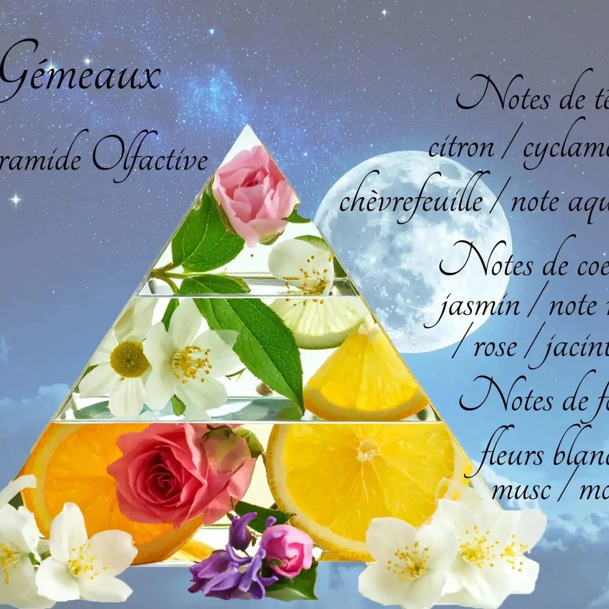 Bougie Astrologique Gémeaux - L'Atelier Ginko - Boutique en Ligne