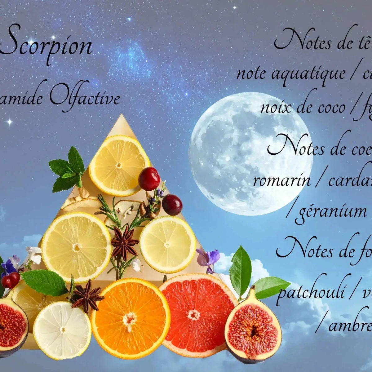 Bougie Astrologique Scorpion - L'Atelier Ginko - Boutique en Ligne