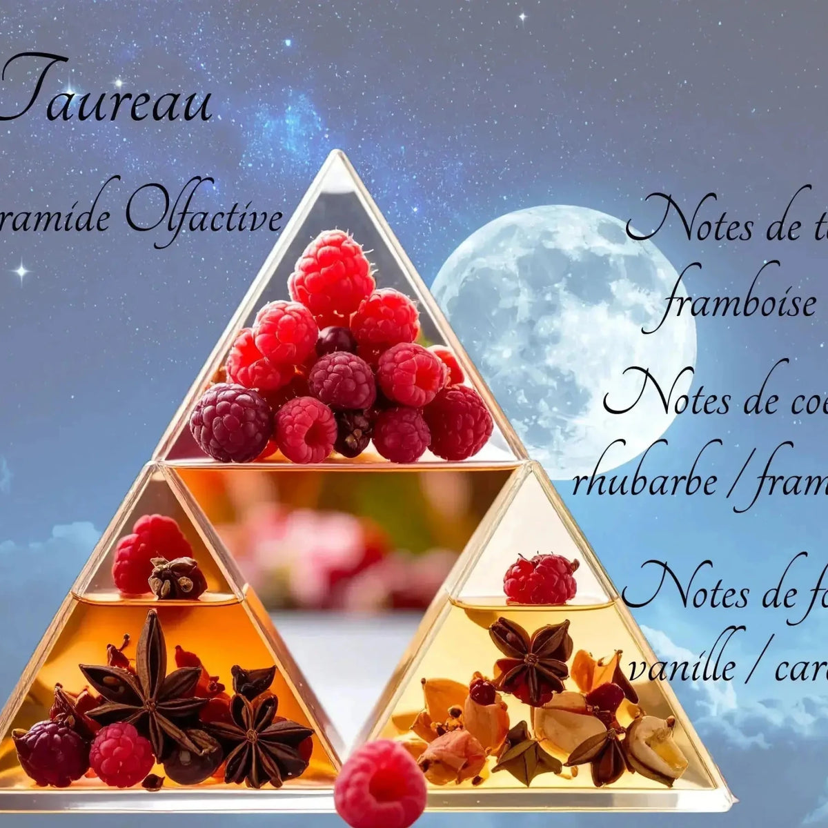 Bougie Astrologique Taureau - L'Atelier Ginko - Boutique en Ligne