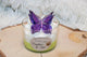 Bougie chantilly Confiture de lait - L'Atelier Ginko - Boutique en Ligne
