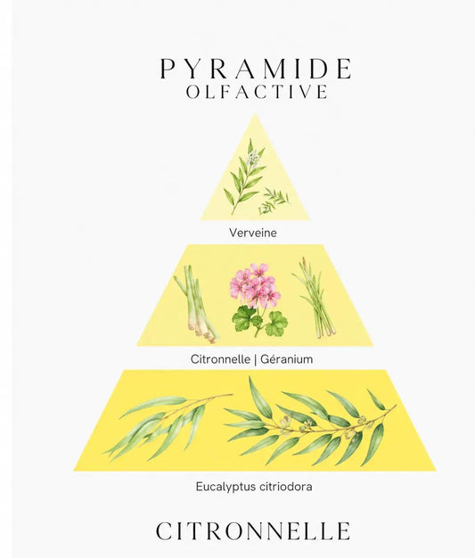 Bougie parfumée Citronnelle - L'Atelier Ginko - Boutique en Ligne