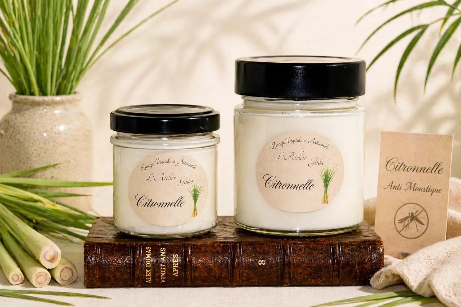 Bougie parfumée Citronnelle - L'Atelier Ginko - Boutique en Ligne
