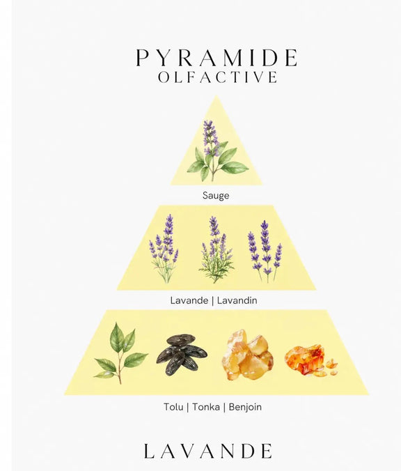 Bougie parfumée Lavande - L'Atelier Ginko - Boutique en Ligne
