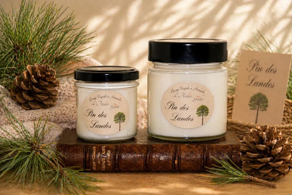 Bougie parfumée Pin des Landes - L'Atelier Ginko - Boutique en Ligne