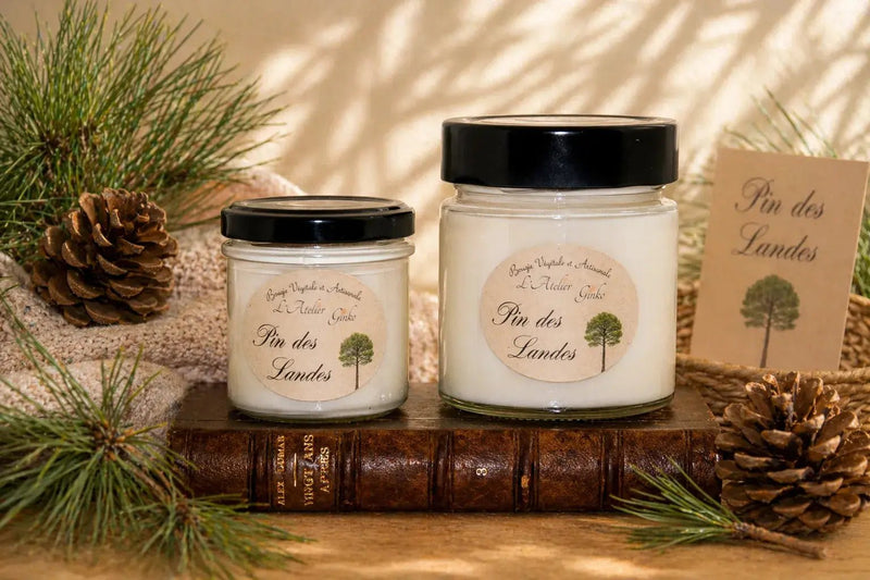 Bougie parfumée Pin des Landes - L'Atelier Ginko - Boutique en Ligne