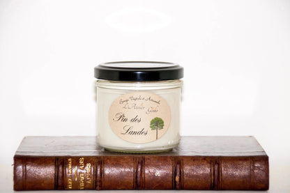 Bougie parfumée Pin des Landes - L'Atelier Ginko - Boutique en Ligne
