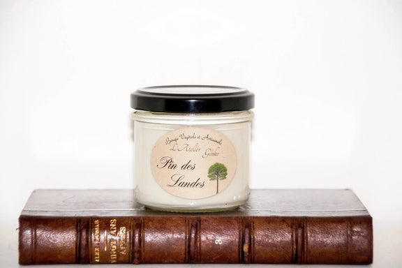 Bougie parfumée Pin des Landes - L'Atelier Ginko - Boutique en Ligne