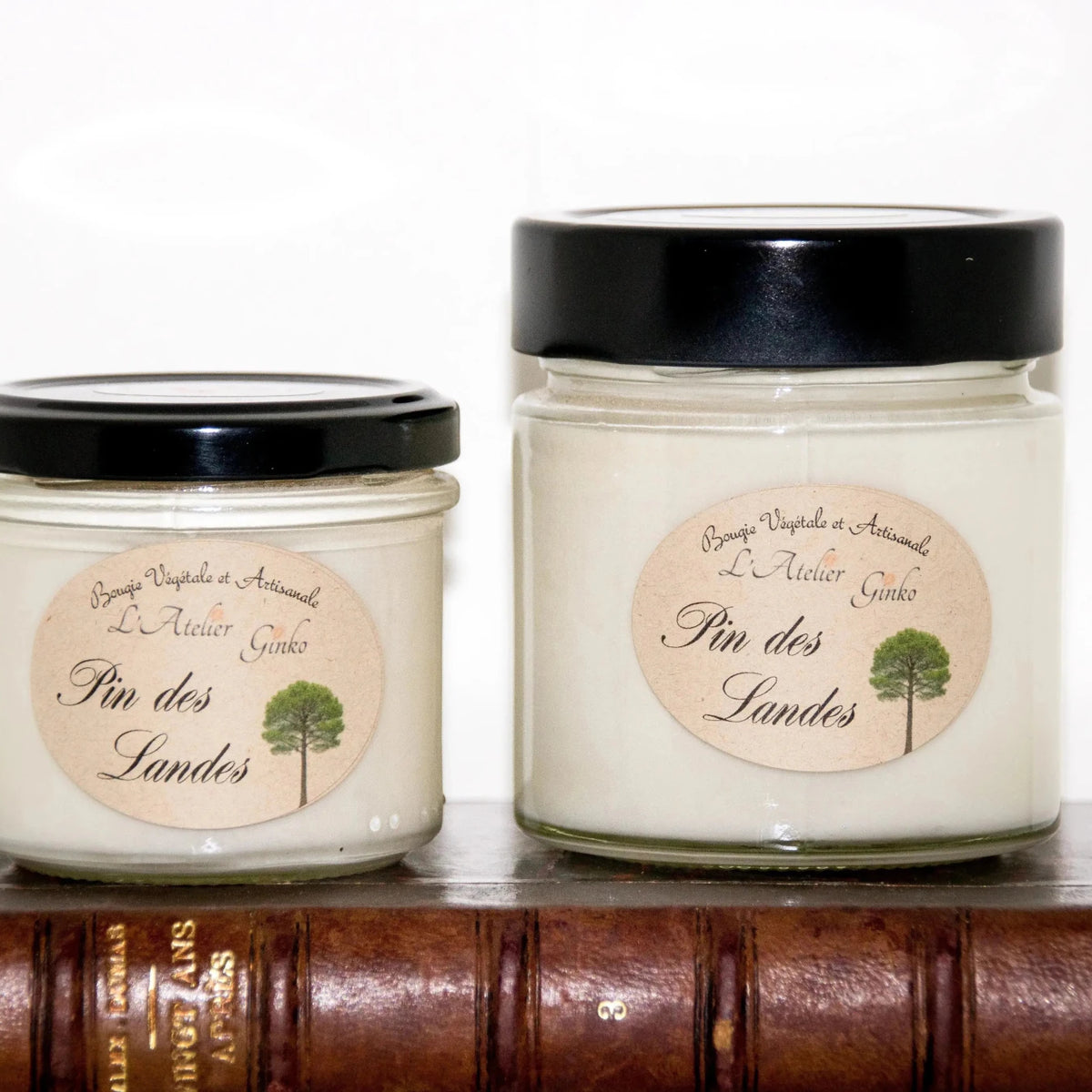 Bougie parfumée Pin des Landes - L'Atelier Ginko - Boutique en Ligne