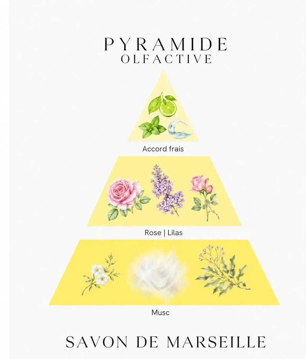 Bougie parfumée Savon de Marseille - L'Atelier Ginko - Boutique en Ligne