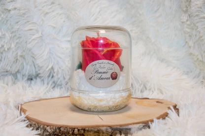 Bougie sous Cloche chantilly - L'Atelier Ginko - Boutique en Ligne
