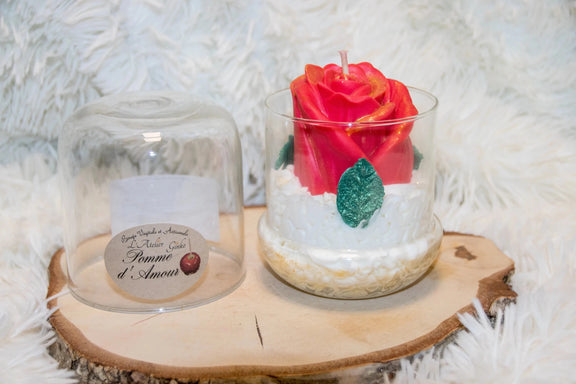 Bougie sous Cloche chantilly - L'Atelier Ginko - Boutique en Ligne