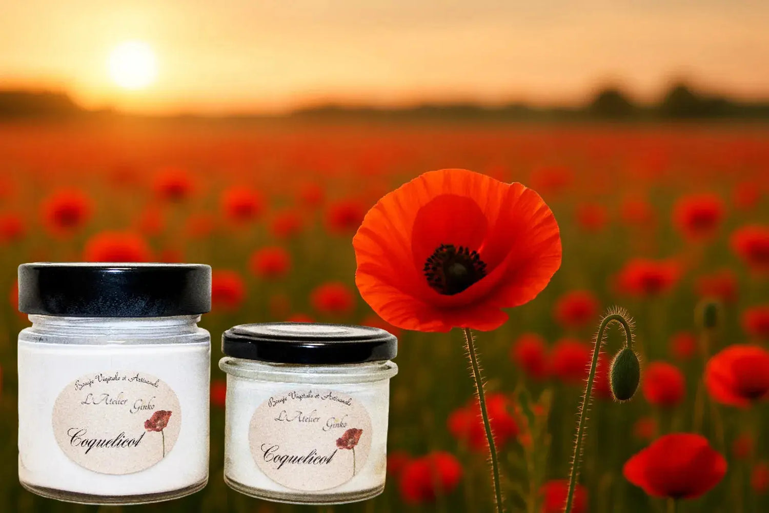 Bougie parfumée Coquelicot L'Atelier Ginko - Boutique en Ligne