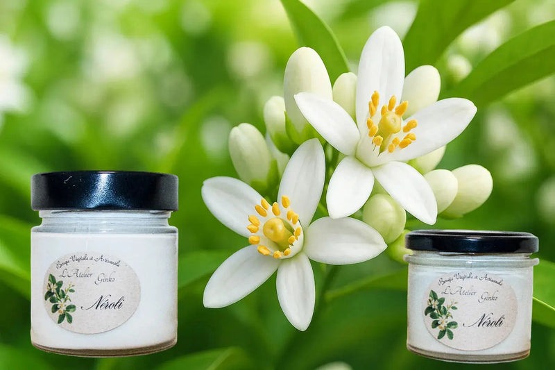 Bougie parfumée Néroli L'Atelier Ginko - Boutique en Ligne