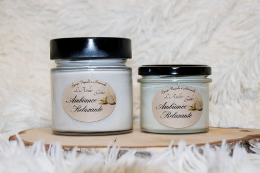 Bougie parfumée Ambiance Relaxante L'Atelier Ginko - Boutique en Ligne