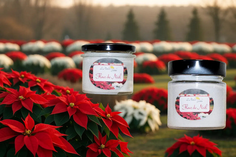 Bougie parfumée Fleur de Noël - L'Atelier Ginko - Boutique en Ligne