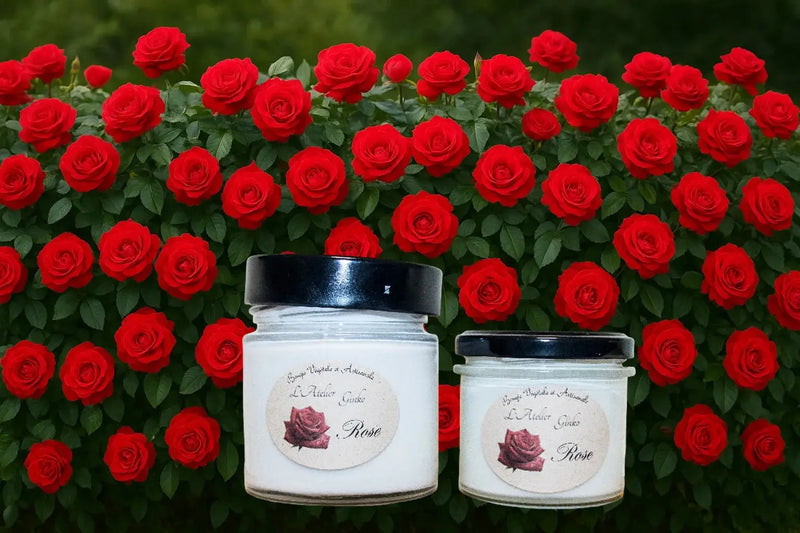 Bougie parfumée Rose L'Atelier Ginko - Boutique en Ligne