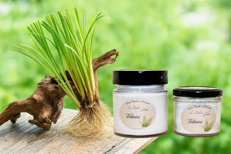 Bougie parfumée Vétivier L'Atelier Ginko - Boutique en Ligne