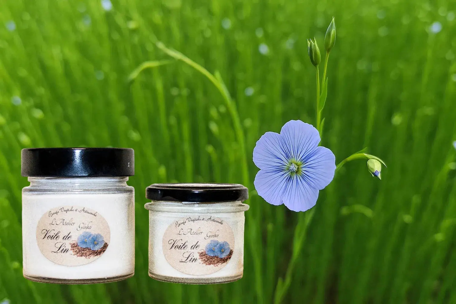 Bougie parfumée Voile de Lin L'Atelier Ginko - Boutique en Ligne