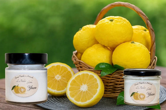Bougie parfumée Yuzu L'Atelier Ginko - Boutique en Ligne