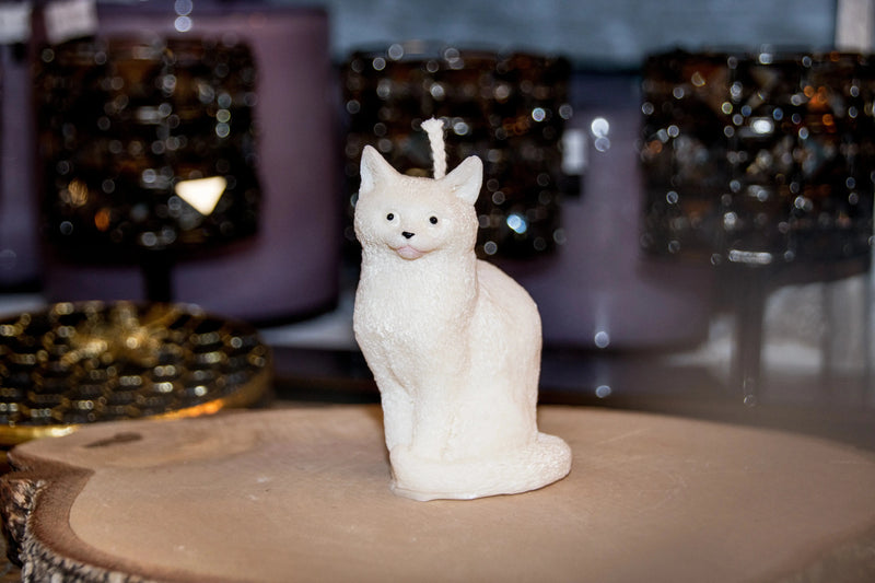 Bougie Chat L'Atelier Ginko - Boutique en Ligne