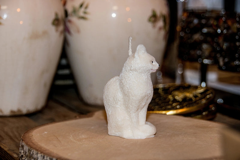 Bougie Chat L'Atelier Ginko - Boutique en Ligne