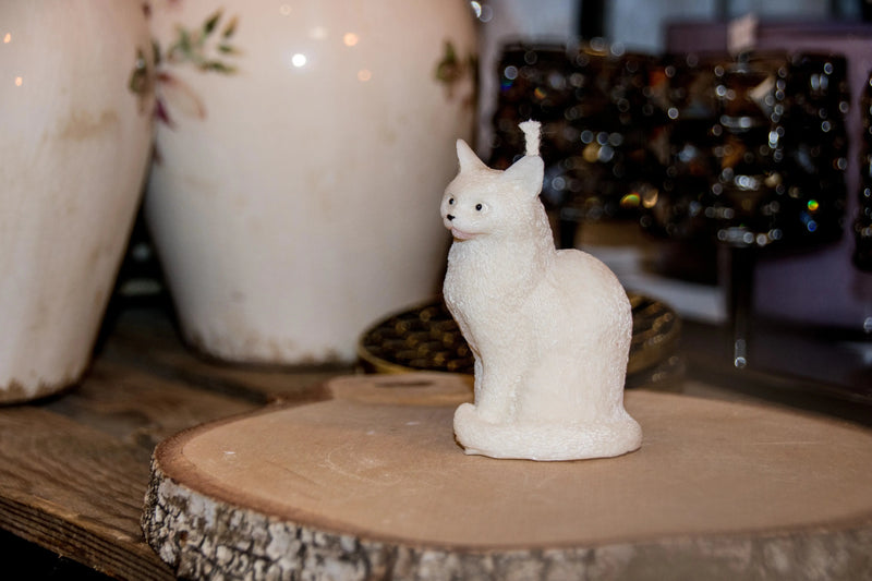 Bougie Chat L'Atelier Ginko - Boutique en Ligne
