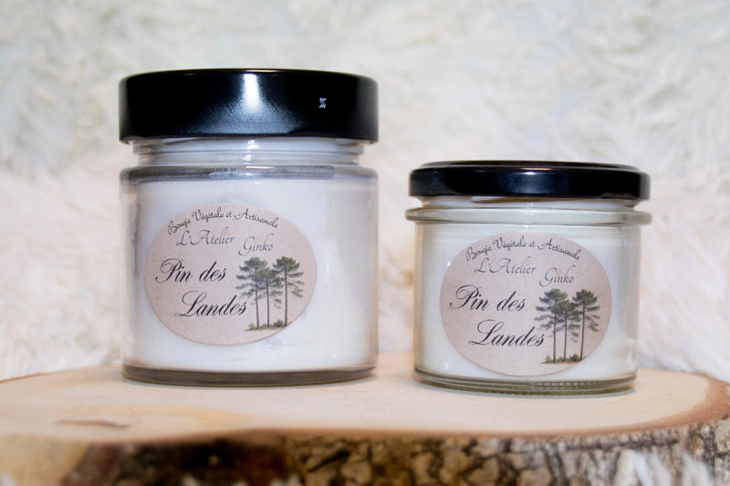 Bougie parfumée Pin des Landes L'Atelier Ginko - Boutique en Ligne