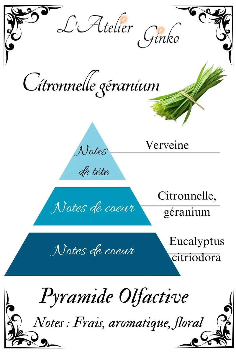 Bougie parfumée Citronnelle L'Atelier Ginko - Boutique en Ligne