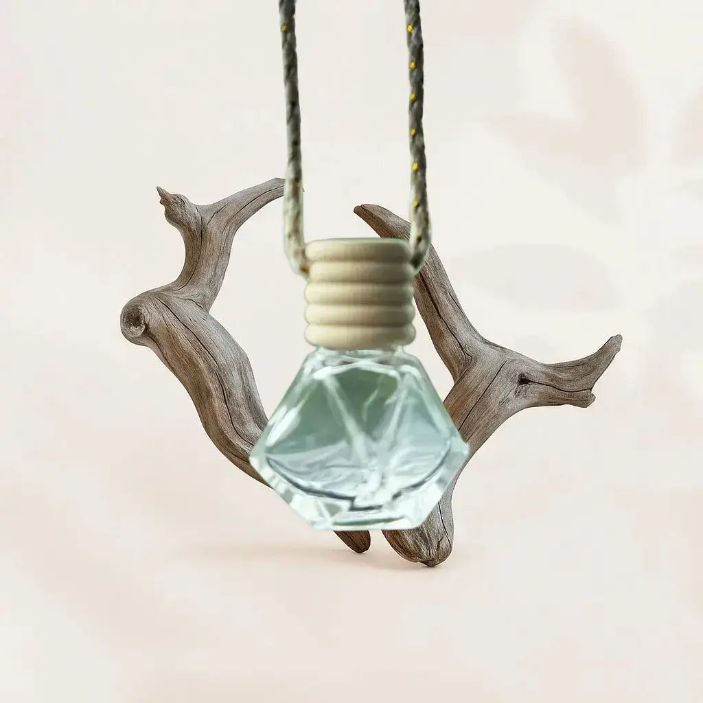 Diffuseur Voiture Bois Flotté L'Atelier Ginko - Boutique en Ligne